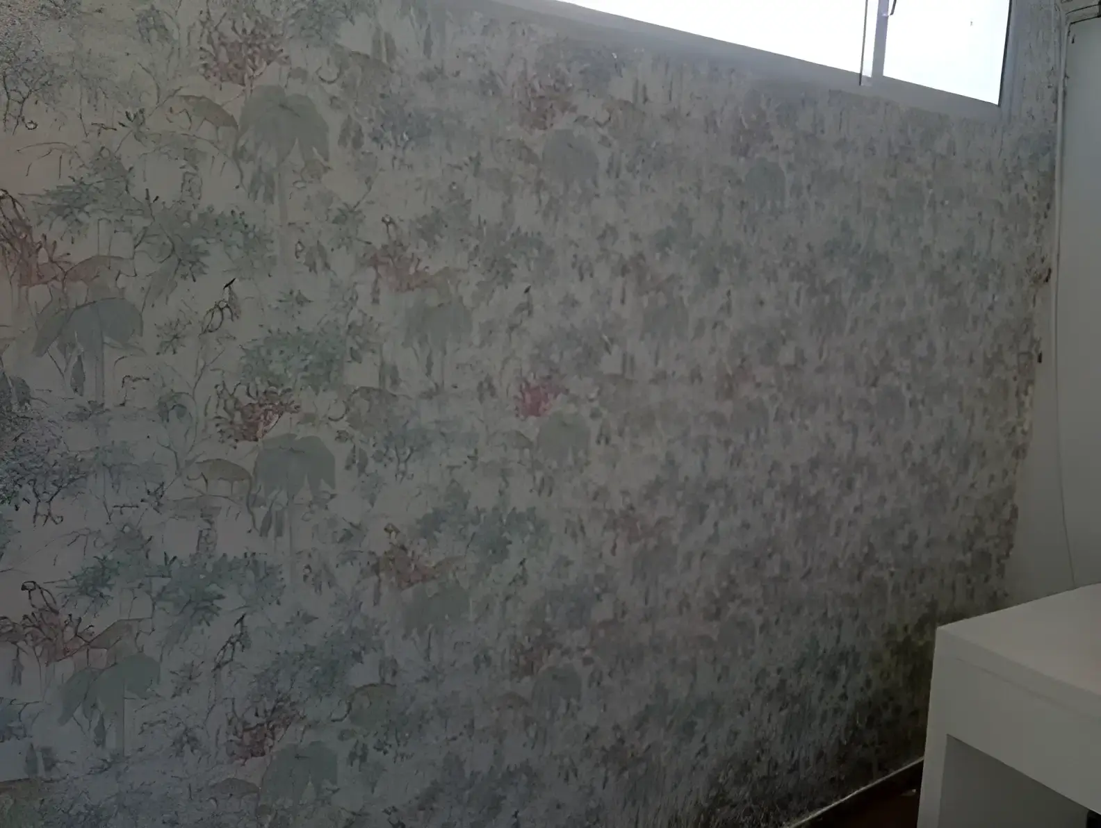 Los Pintores Getafe colocando papel pintado decorativo en pared completa de habitación